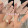 Camellia Ring J4 