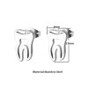 Japanese and Korean version of cute hollow tooth-shaped earrings, simple and personalized stainless steel hollow earrings, earrings, small earrings foreign trade