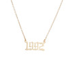 Women's personalized stainless steel year necklace 2025 niche cross-border digital necklace jewelry trendy birthday accessories