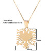 Cross-border new accessories stainless steel Albanian Eagle pendant necklace women's fashion clavicle chain ready stock wholesale