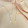 Gold  + Rs.40.00 