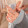 J125 butterfly ring 