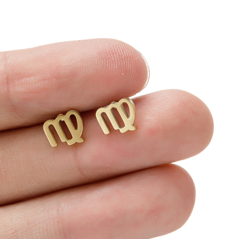 Simple European and American cross-border new stainless steel 12 constellation earrings symbol pattern independently packaged earrings wholesale