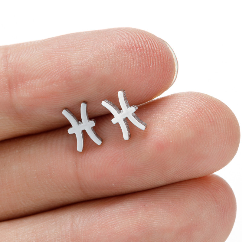 Simple European and American cross-border new stainless steel 12 constellation earrings symbol pattern independently packaged earrings wholesale