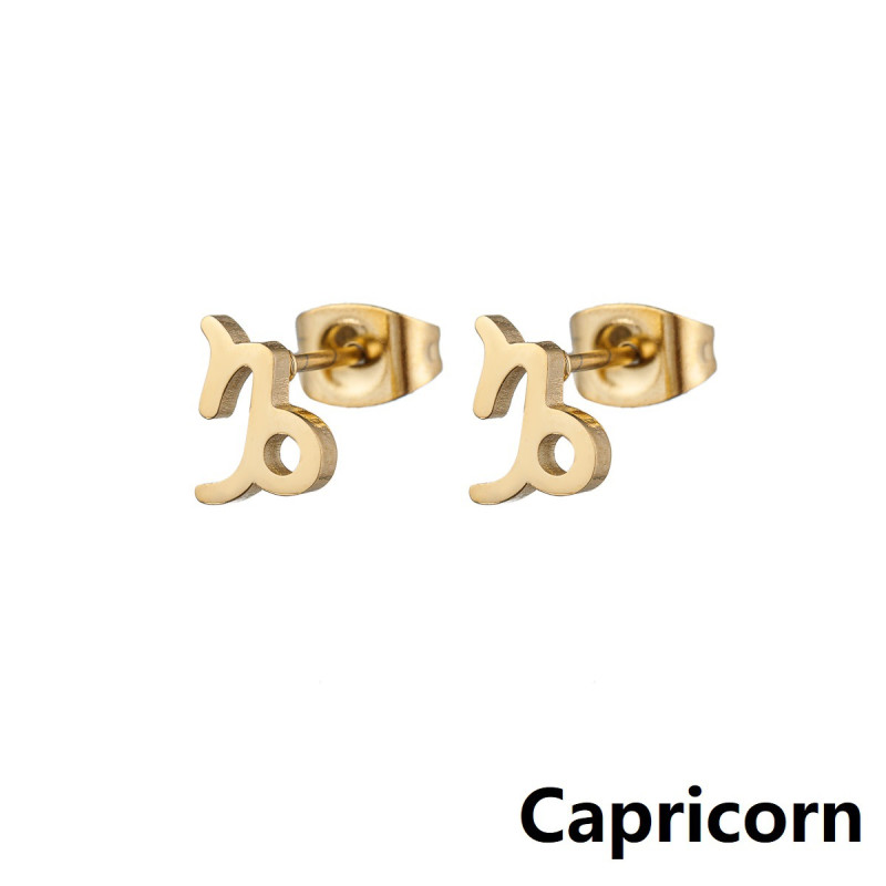 Simple European and American cross-border new stainless steel 12 constellation earrings symbol pattern independently packaged earrings wholesale