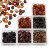 Acrylic gold tracing retro style coffee bean beads loose beads DIY jewelry accessories making beaded mobile phone chain material