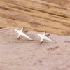 Four-pointed star earrings for women niche design 2025 new irregular star earrings simple stainless steel jewelry