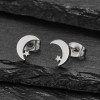 Japanese and Korean fashion stars on the tail of the moon 18K gold plated stainless steel mini temperament earrings wholesale