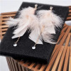 Feather Earrings Women's Long Feather Earrings Temperament New Versatile Short Hair Earrings Ear Accessories Temperament Tassel Earrings
