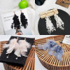Feather Earrings Women's Long Feather Earrings Temperament New Versatile Short Hair Earrings Ear Accessories Temperament Tassel Earrings