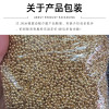 Iron Beads, Gold Electroplated Jewelry, Loose 2.4 3.2 4.0 5.0 6.0 8.0 Diy Accessories