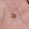 Positioning Beads, Separated Jewelry Accessories, Bracelets, Diy Beading Materials, Loose