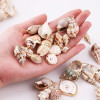 Natural Shell Pendant Conch Handmade Earrings Diy Material Package Ear Jewelry Accessories
