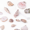 Natural Shell Pendant Conch Handmade Earrings Diy Material Package Ear Jewelry Accessories