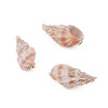 Natural Shell Pendant Conch Handmade Earrings Diy Material Package Ear Jewelry Accessories