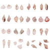Natural Shell Pendant Conch Handmade Earrings Diy Material Package Ear Jewelry Accessories