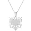 New Accessories Stainless Steel Albanian Eagle Pendant Necklace Women's Fashion Clavicle