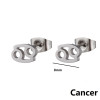 Simple European and American New Stainless Steel 12 Constellation Earrings Symbol Pattern