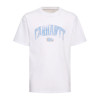 Cotton T2025 C W Home New Trend High Fashion Printed Pa